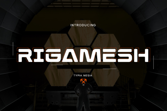 Rigamesh: The Bold Display Font for Dynamic Brand Identity